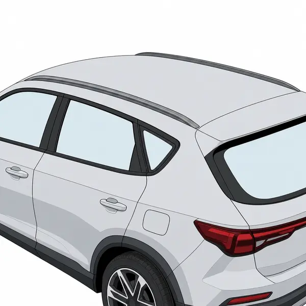 What Roof Type Does My Car Have? 3 Flush roof rails